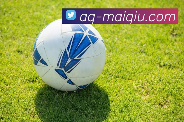 体育投注平台平台生态图