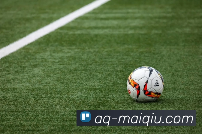 体育投注平台全站App